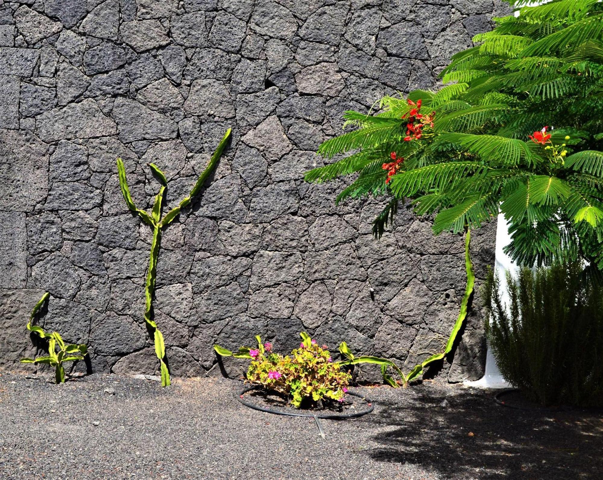 Villa Gran Famara Puerto del Carmen (Lanzarote)